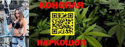 сатива Усть-Илимск