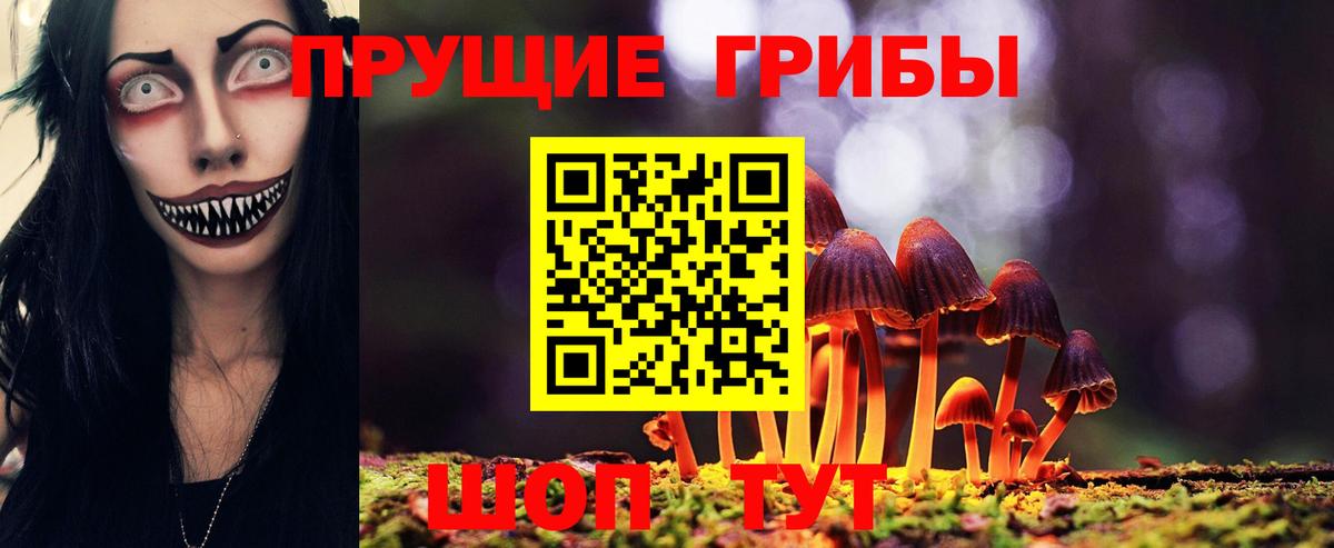 Псилоцибиновые грибы Psilocybine cubensis  Галлюциногенные грибы GOLDEN TEACHER  Вход с VPN  Боровичи 